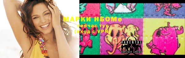 ГАЛЛЮЦИНОГЕННЫЕ ГРИБЫ Аркадак