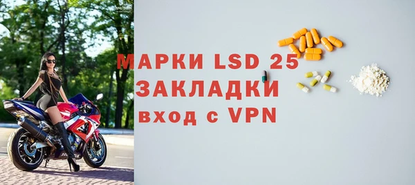 ГАЛЛЮЦИНОГЕННЫЕ ГРИБЫ Аркадак