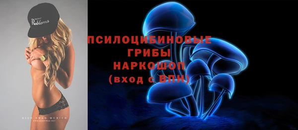 ГАЛЛЮЦИНОГЕННЫЕ ГРИБЫ Аркадак