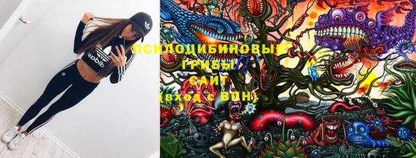 дживик Арсеньев