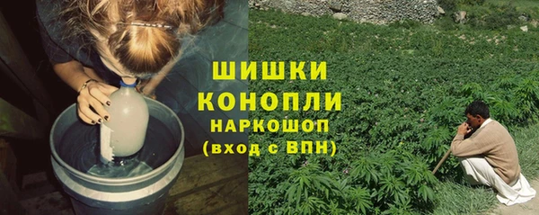 дживик Арсеньев