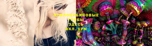 дживик Арсеньев
