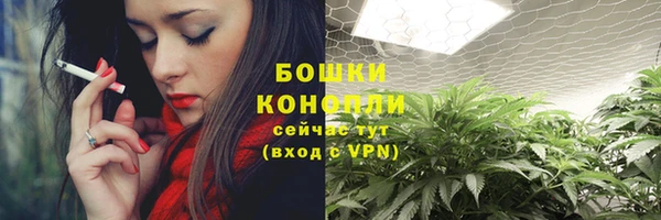 ГАЛЛЮЦИНОГЕННЫЕ ГРИБЫ Аркадак