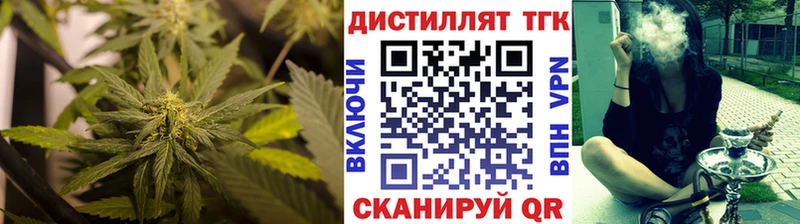 магазин продажи наркотиков  Игарка  Дистиллят ТГК THC oil 