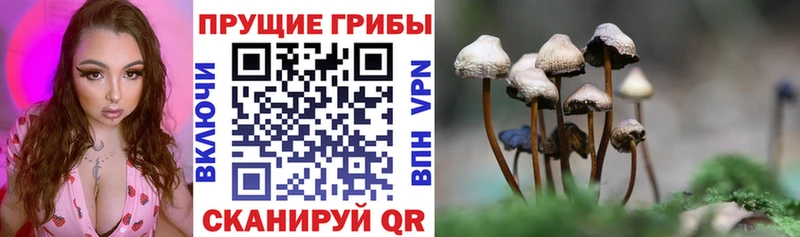 Псилоцибиновые грибы мицелий  Игарка 