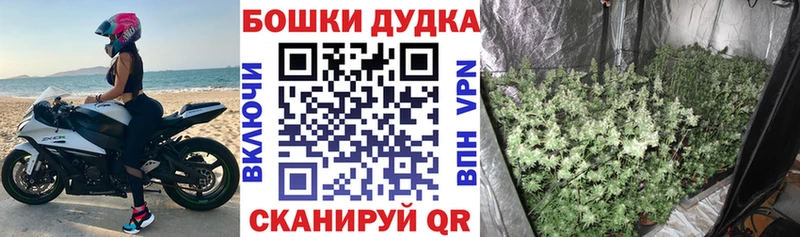 МАРИХУАНА планчик где можно купить наркотик Игарка